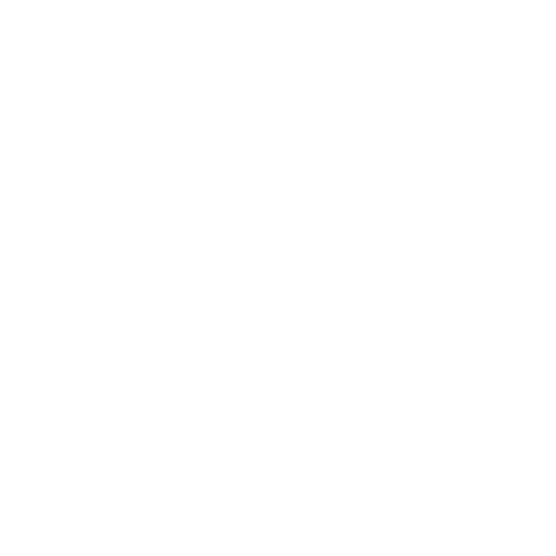 Language Guru ALG – Language Guru – ANALI